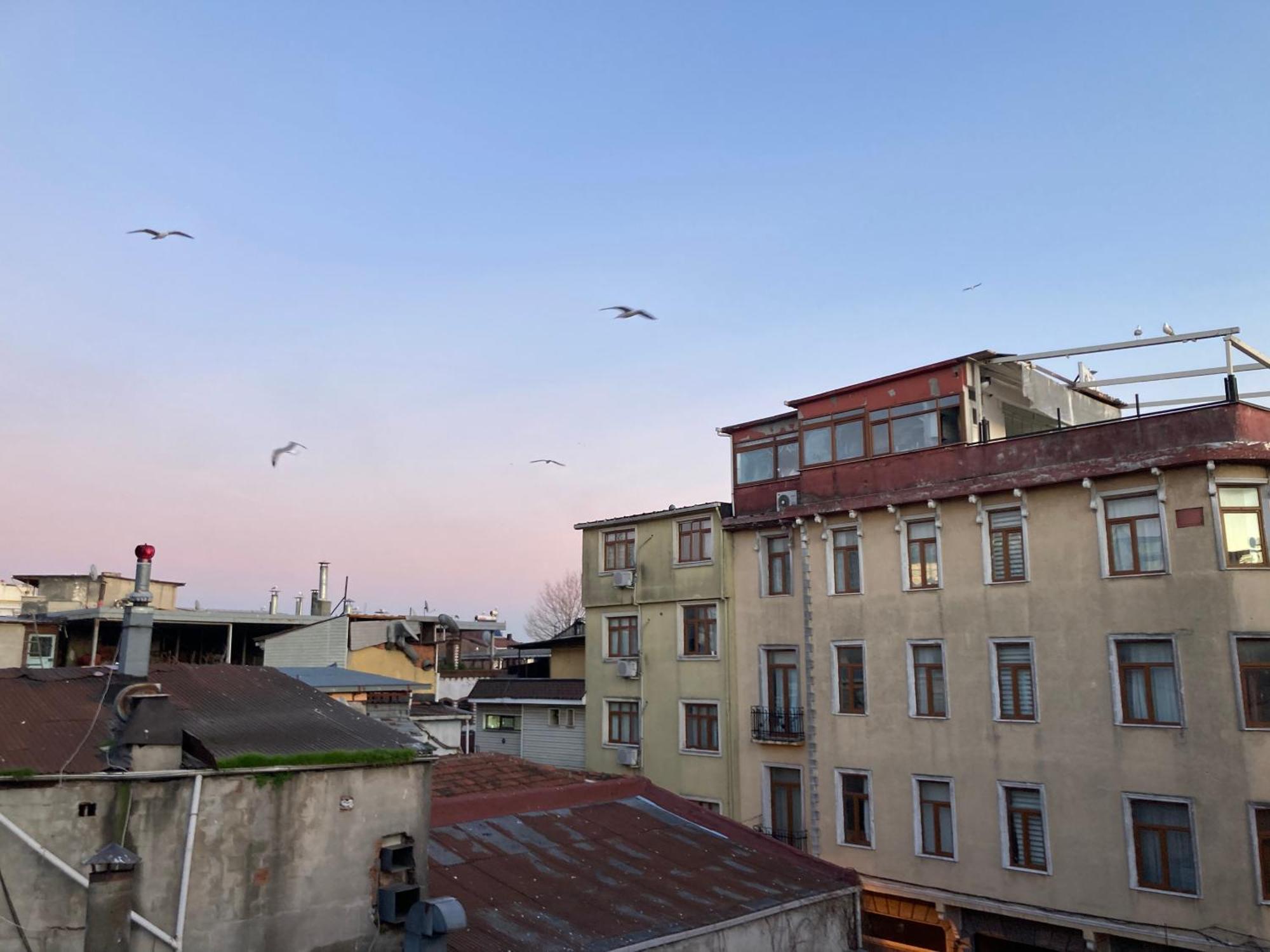 Ulusoy Old City Istanbul Exteriör bild